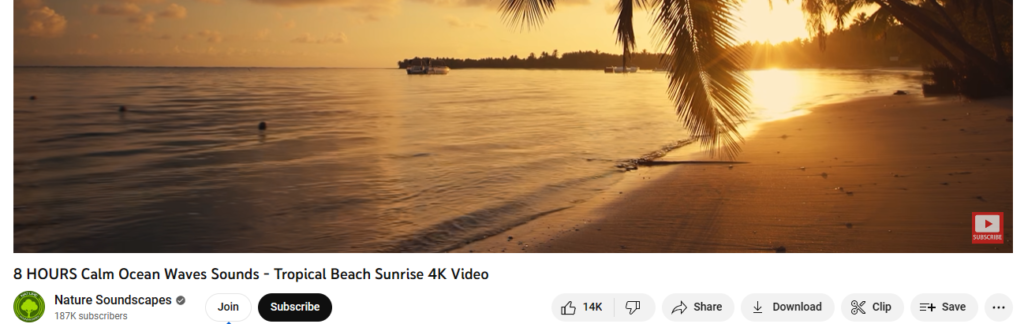 Youtube AI